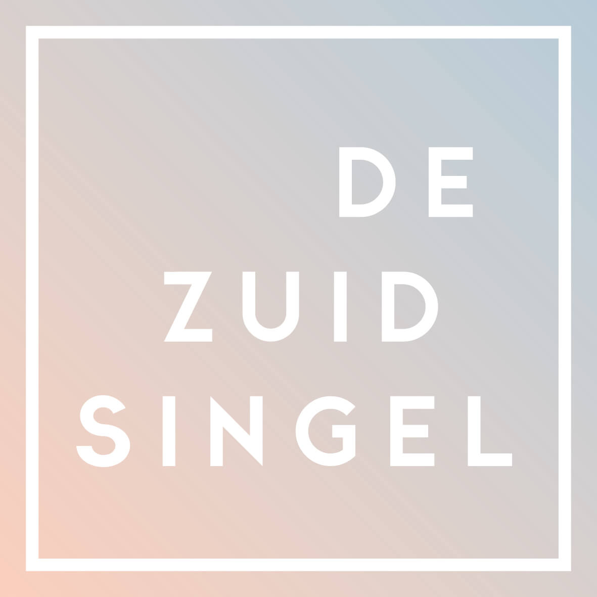 Logo De Zuidsingel voor schaatsbaan